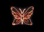 <img border='0' src='UpLoadFile/2008062312270273499.jpg'>